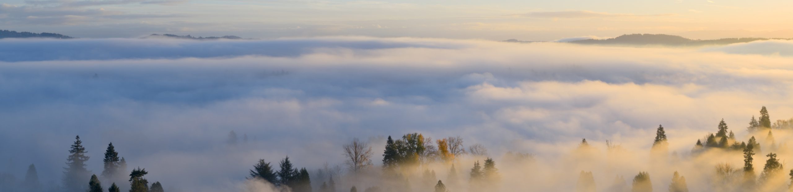 Aerial panoramic view of a misty valley with treetops emerging through golden morning fog and hills in the distance.